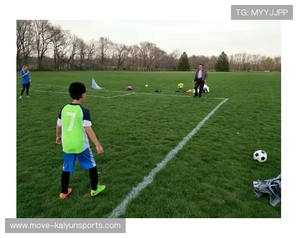 足球场小球星标识牌设计与规范标准探讨及实施方案